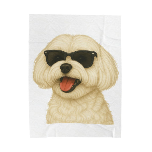 Maltese Wearing Sunglasses - Sherpa Blanket
