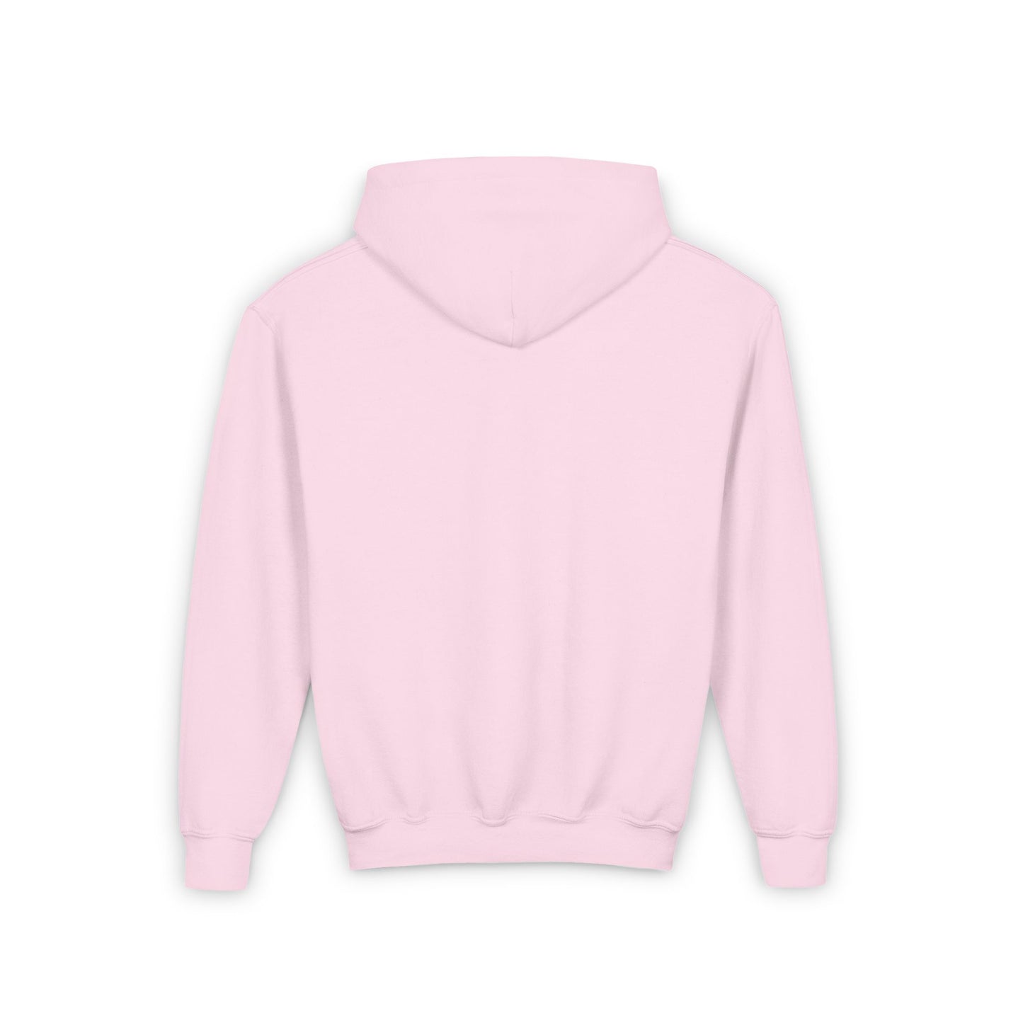 BayStar The Dolphin Youth Hoodie Sweatshirt