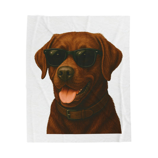 Brown Labrador Retriever Wearing Sunglasses - Sherpa Blanket