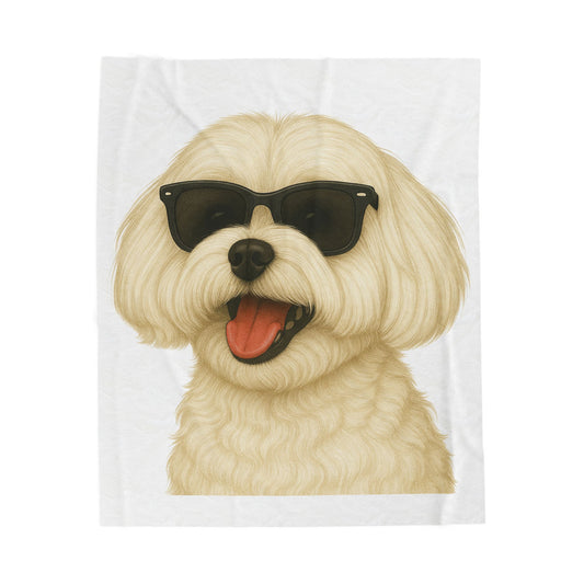 Maltese Wearing Sunglasses - Sherpa Blanket