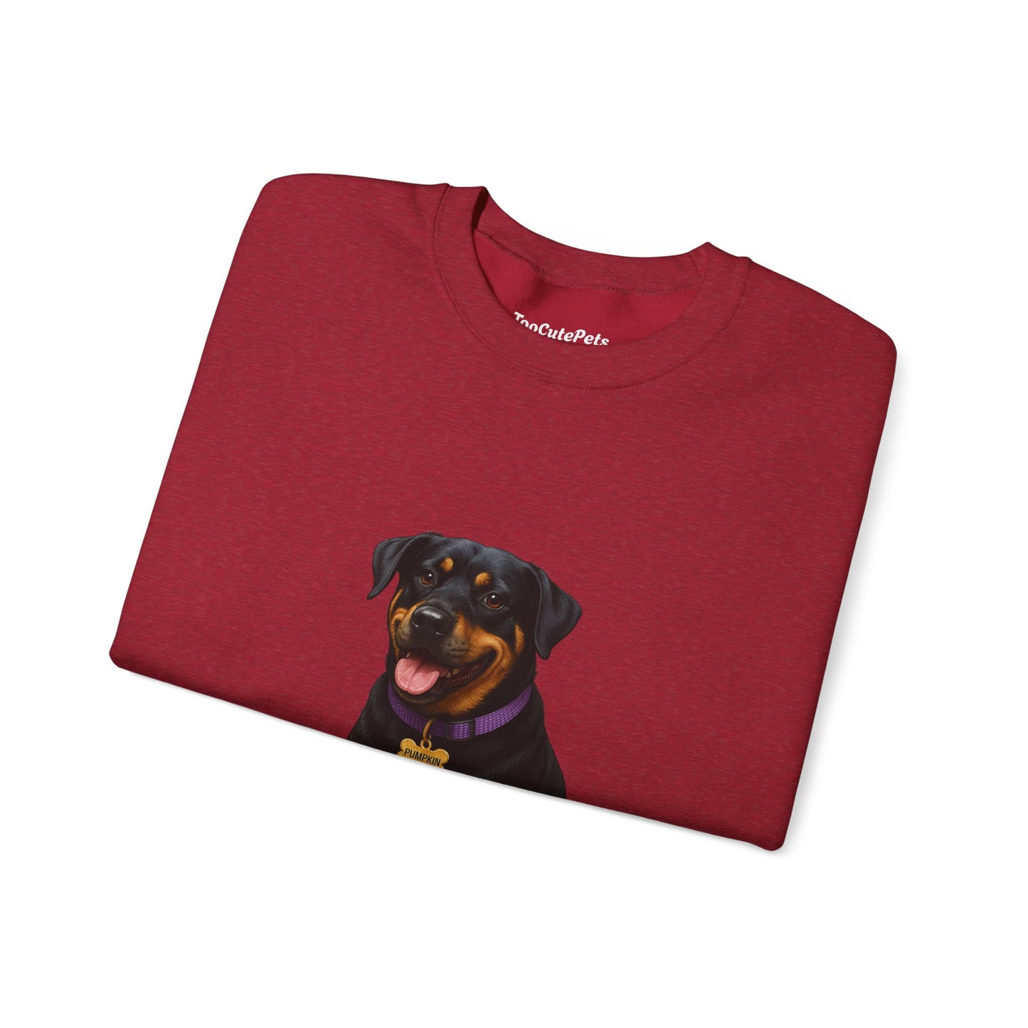 Rottweiler Lab Mix Pumpkin Sweatshirt