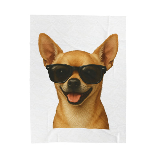 Chihuahua Wearing Sunglasses - Sherpa Blanket
