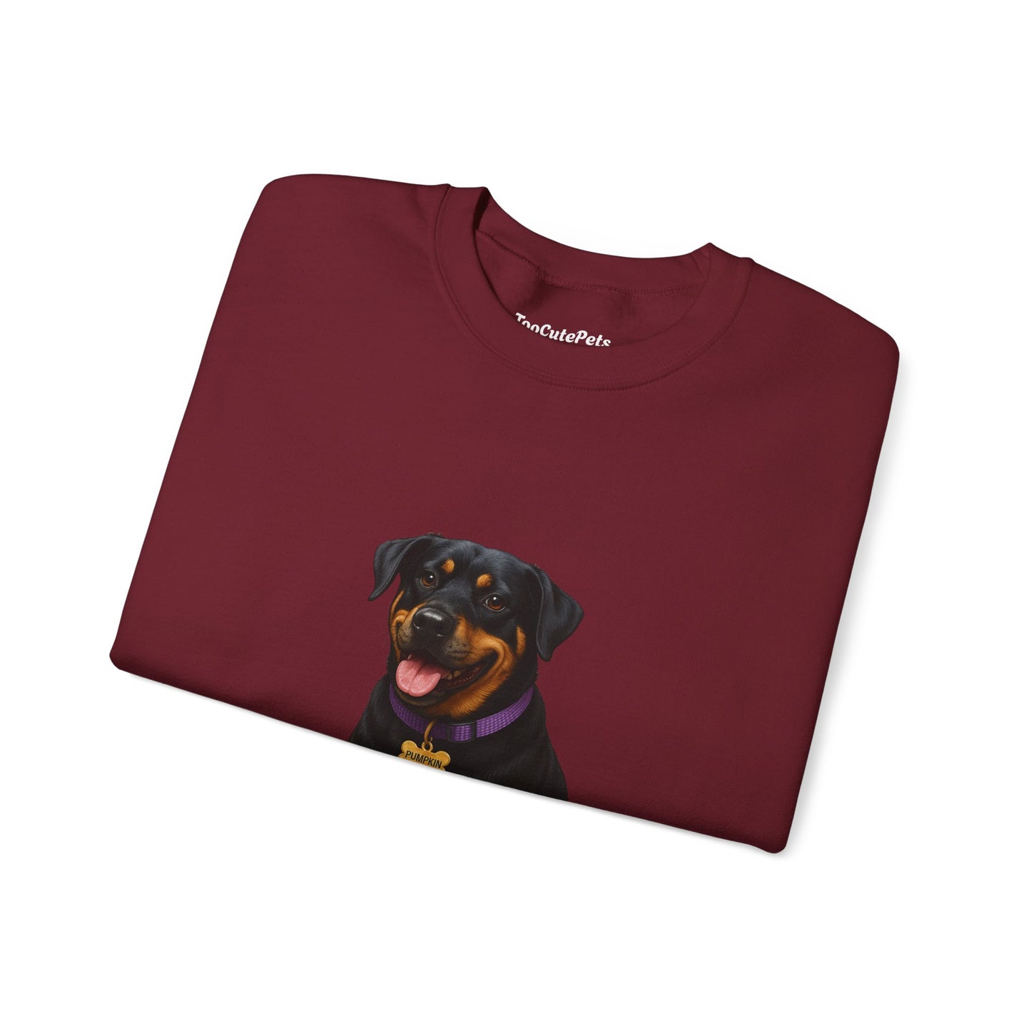 Rottweiler Lab Mix Pumpkin Sweatshirt