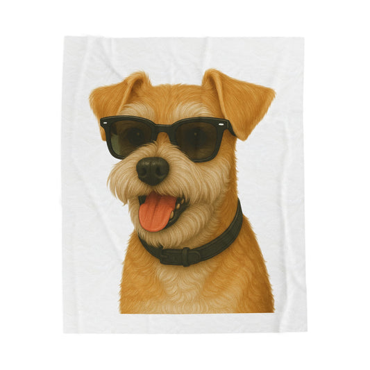 Miniature Schnauzer Wearing Sunglasses - Sherpa Blanket