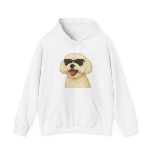 Maltese Wearing Sunglasses - Adult Hoodie