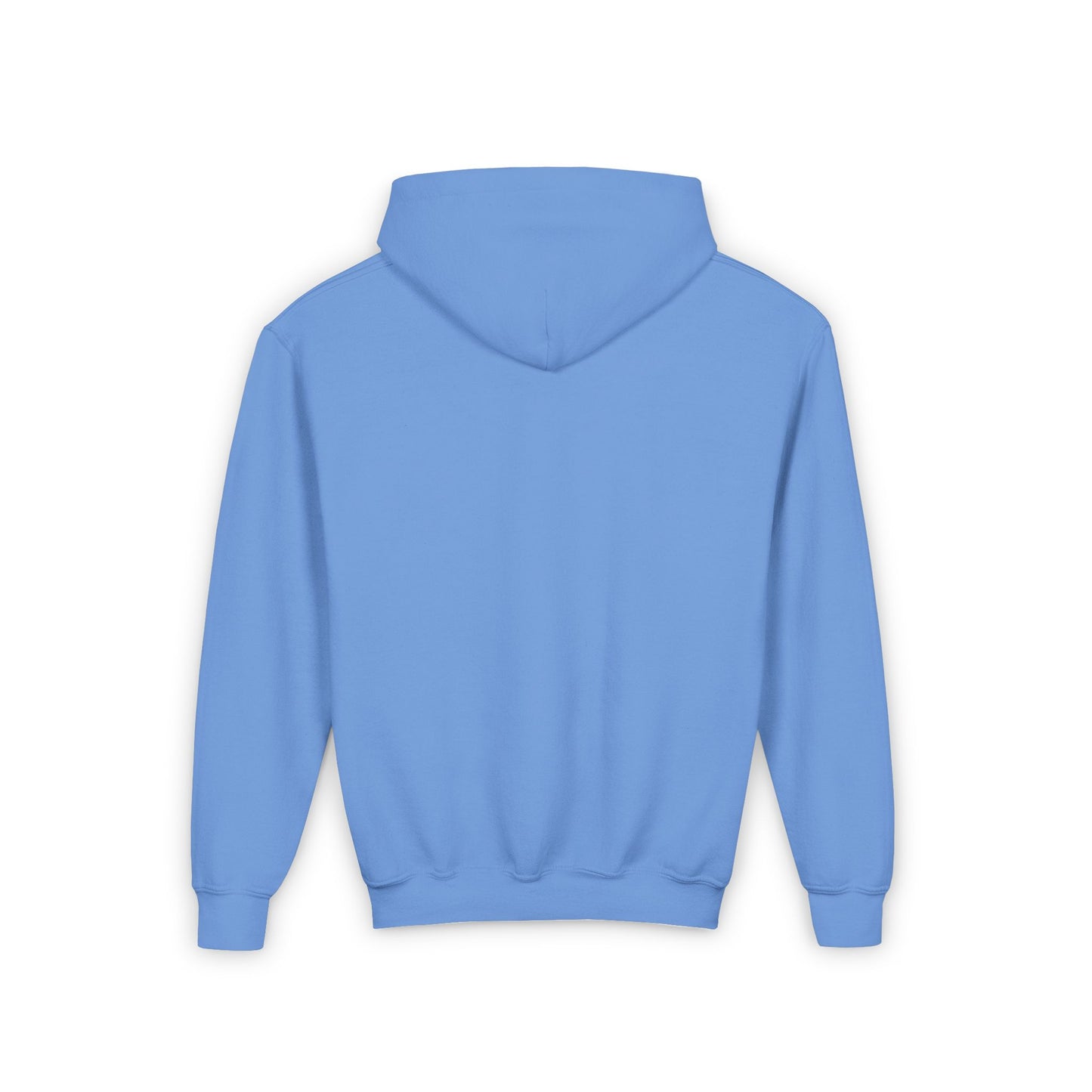 BayStar The Dolphin Youth Hoodie Sweatshirt