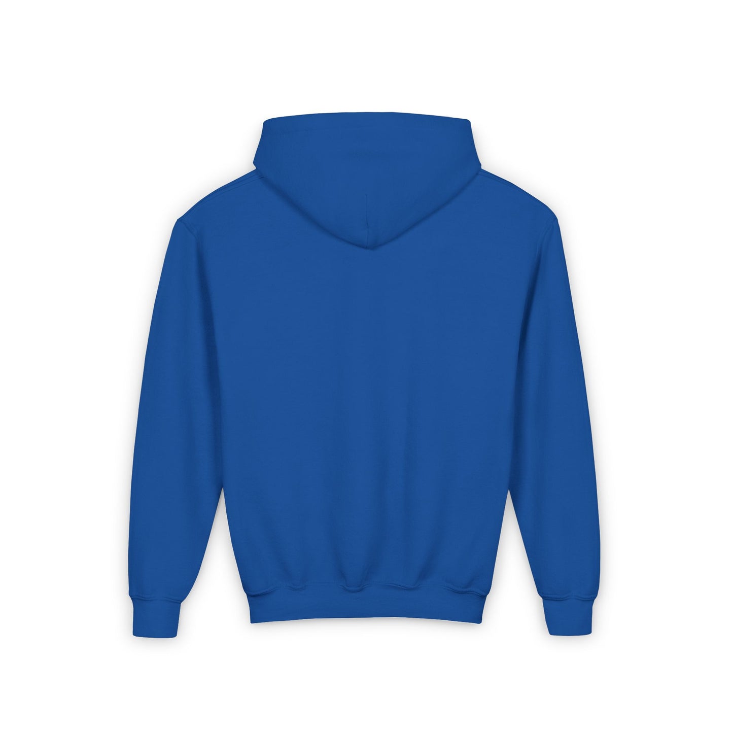 BayStar The Dolphin Youth Hoodie Sweatshirt
