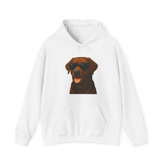 Brown Labrador Retriever Wearing Sunglasses - Adult Hoodie