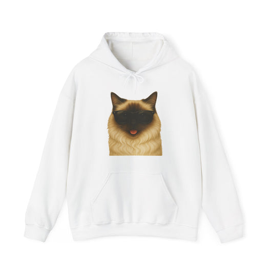 Ragdoll Cat Wearing Sunglasses - Adult Hoodie
