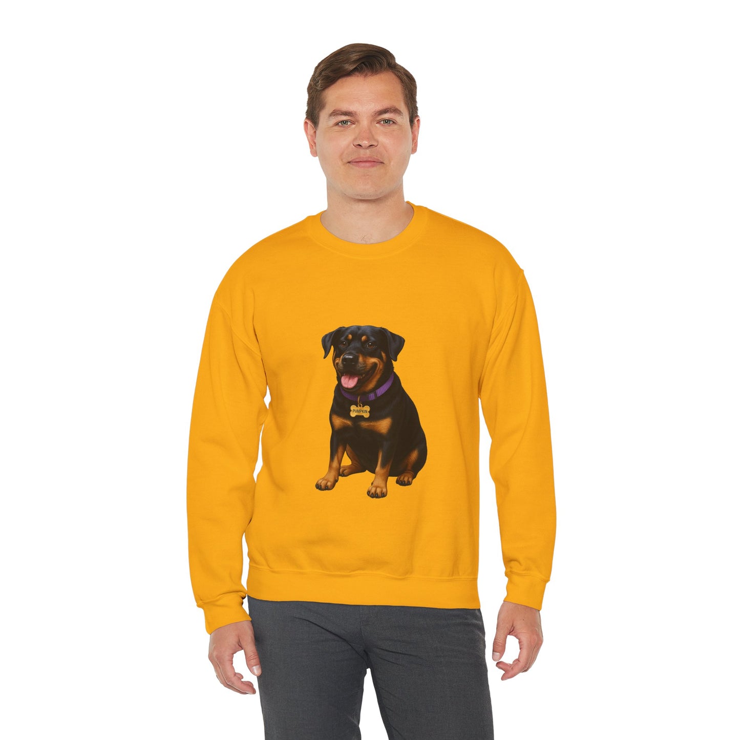 Rottweiler Lab Mix Pumpkin Sweatshirt