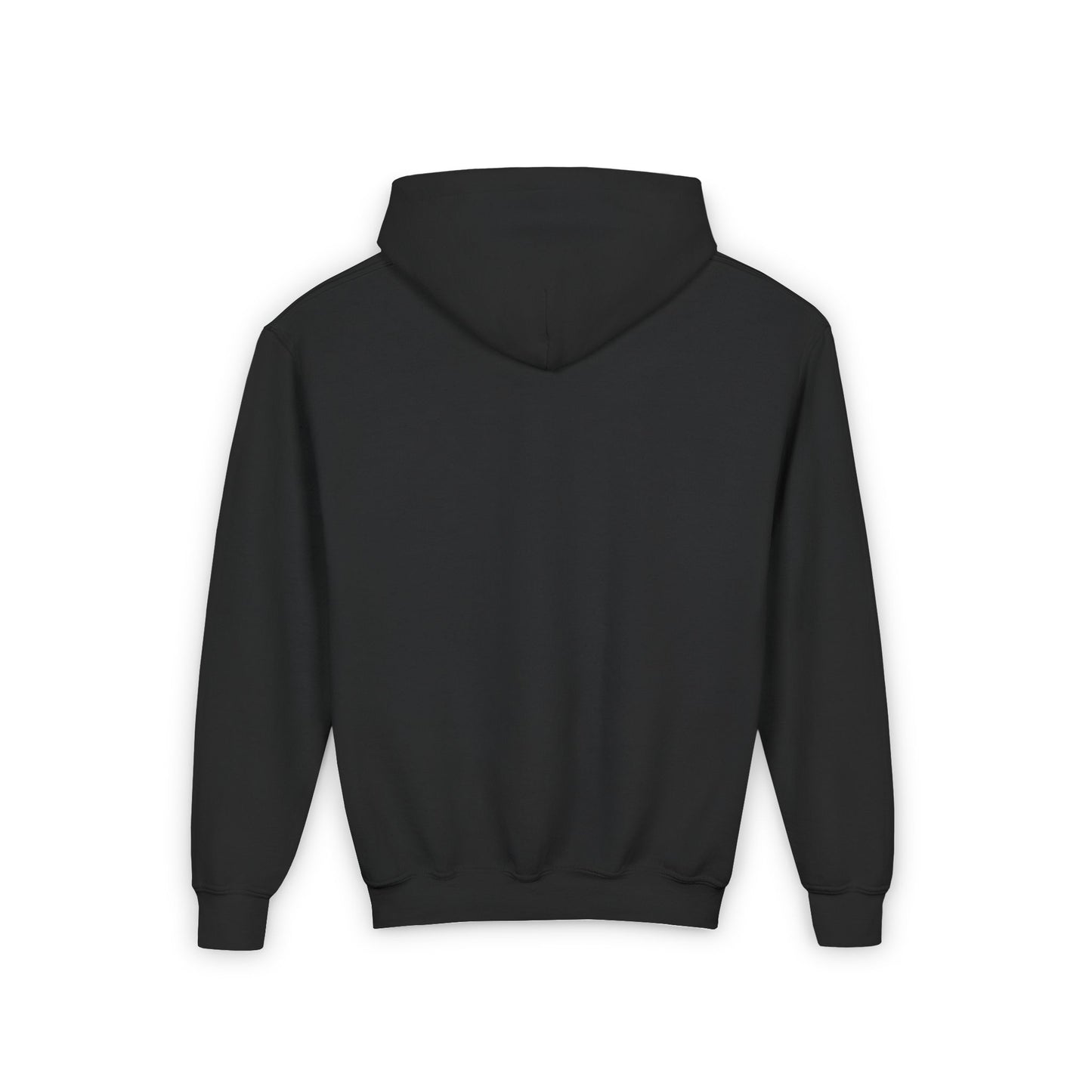 BayStar The Dolphin Youth Hoodie Sweatshirt