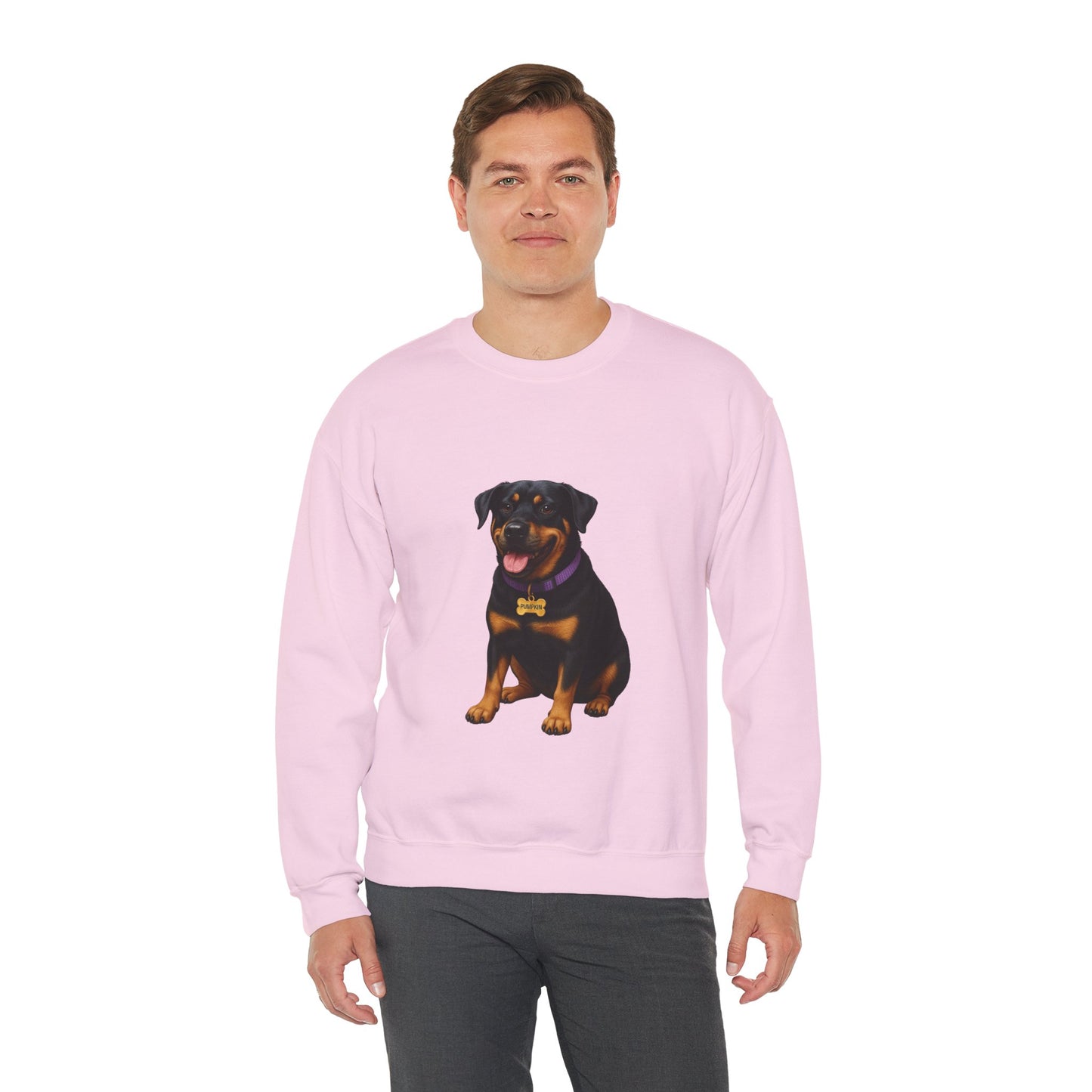 Rottweiler Lab Mix Pumpkin Sweatshirt