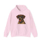 German Shorthaired Pointer Wearing Sunglasses - Adult Hoodie