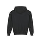 Luna The Dolphin Youth Hoodie Sweatshirt