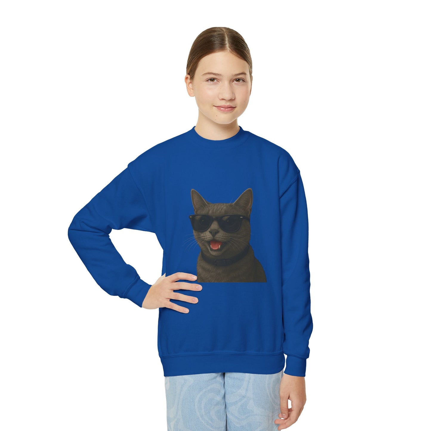 Gray Domestic Shorthaired Cat Wearing Sunglasses - Youth Sweatshirt