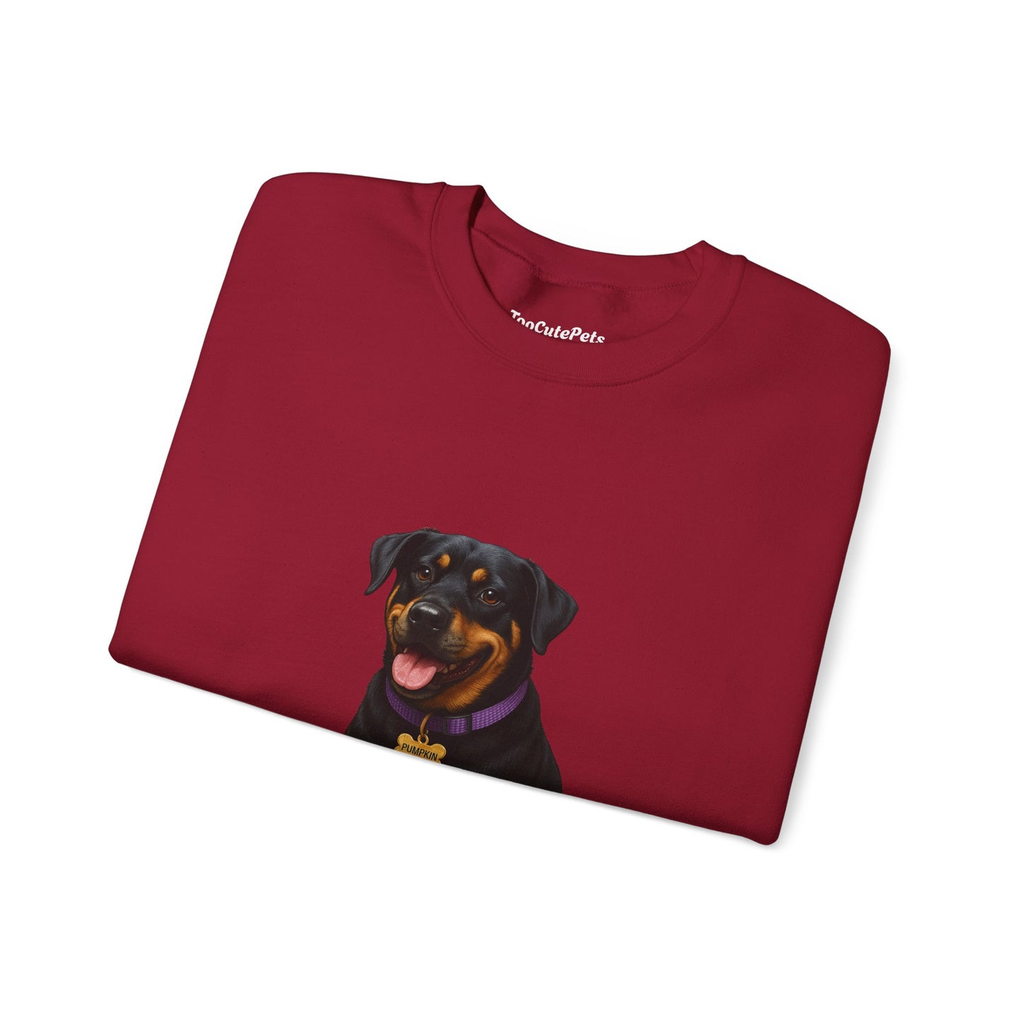 Rottweiler Lab Mix Pumpkin Sweatshirt