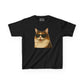 Domestic Longhaired Calico Cat Sunglasses Kids Tee