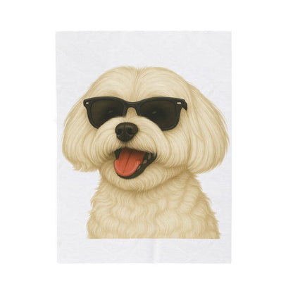Maltese Wearing Sunglasses - Sherpa Blanket
