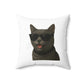 Gray Cat Wearing Sunglasses - Throw Pillow