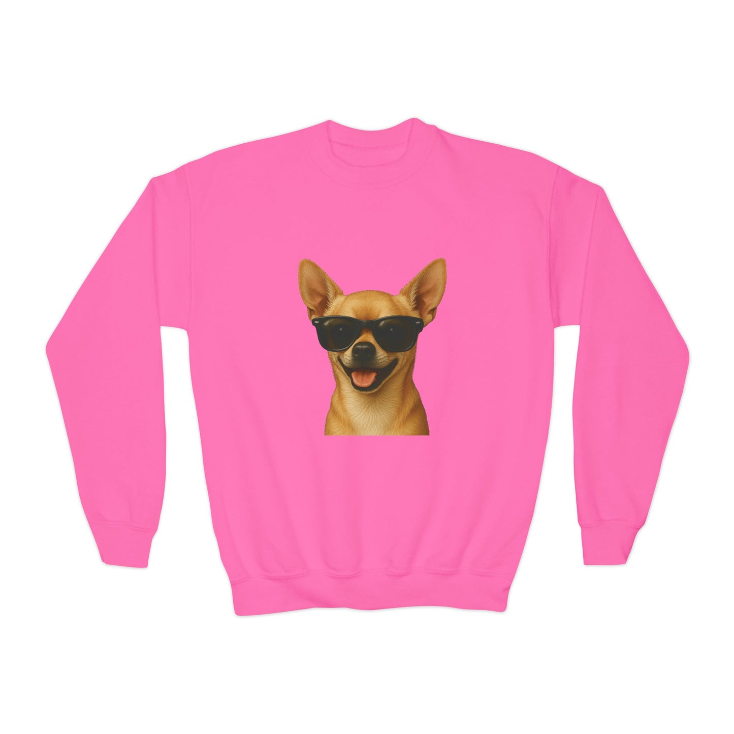Chihuahua Wearing Sunglasses - Youth Sweatshirt