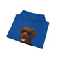 Brown Labrador Retriever Wearing Sunglasses - Adult Hoodie