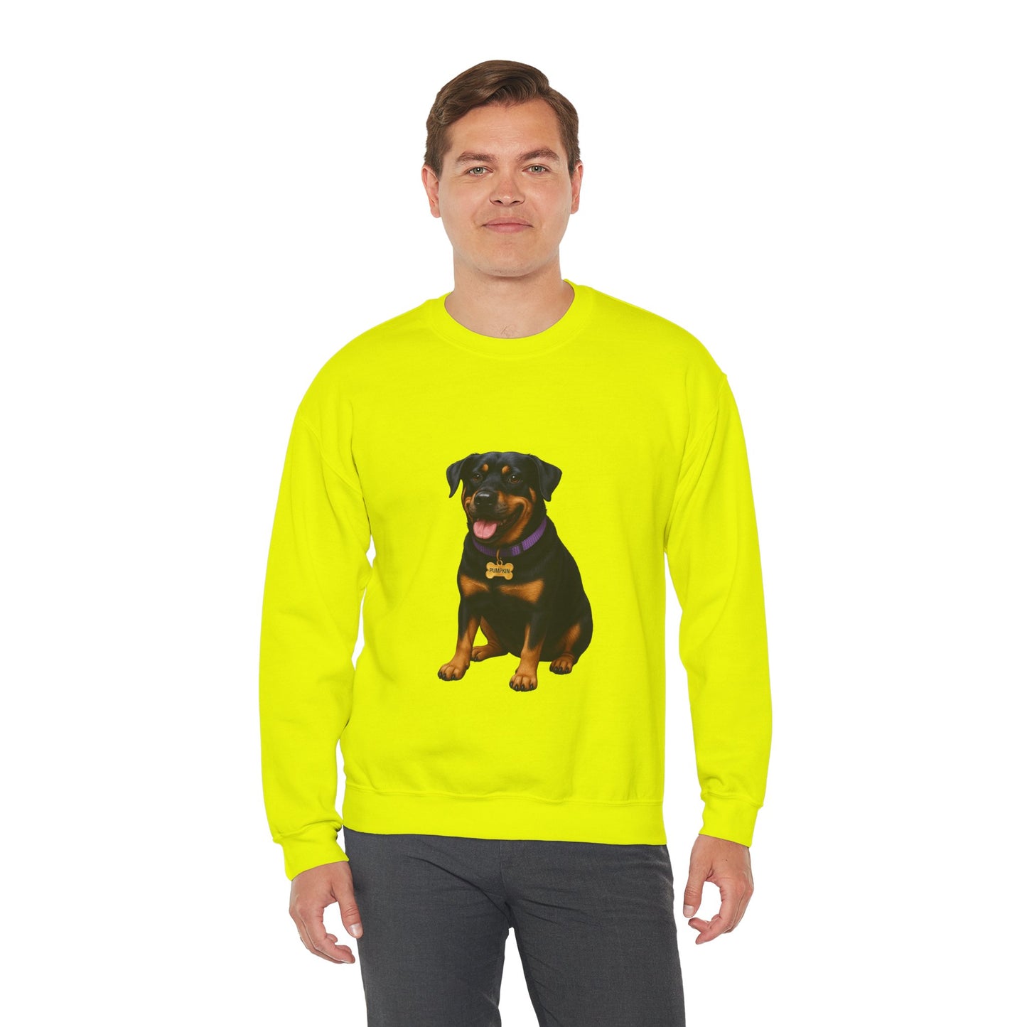 Rottweiler Lab Mix Pumpkin Sweatshirt