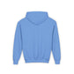 Luna The Dolphin Youth Hoodie Sweatshirt