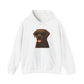 Brown Labrador Retriever Wearing Sunglasses - Adult Hoodie