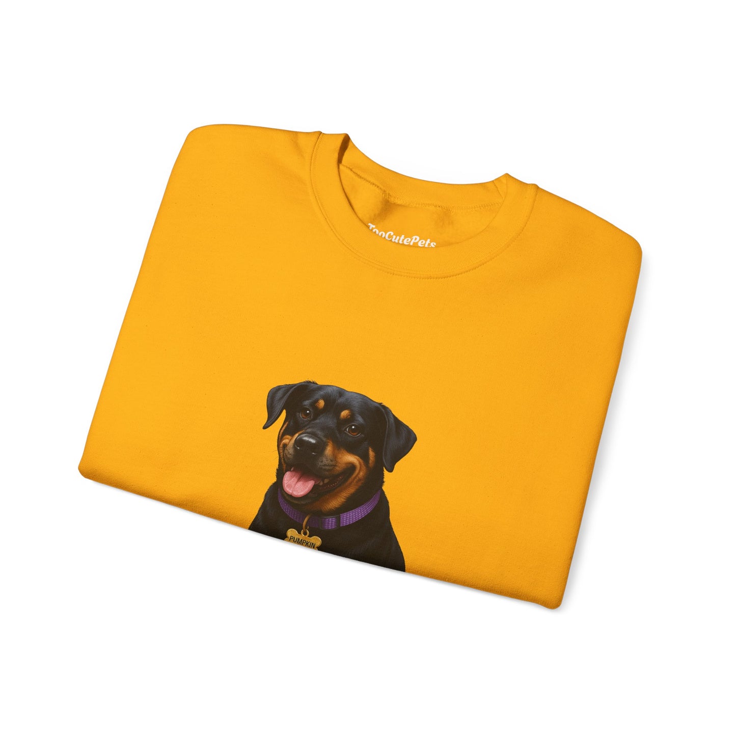 Rottweiler Lab Mix Pumpkin Sweatshirt