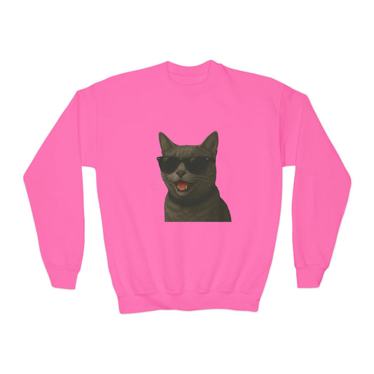 Gray Domestic Shorthaired Cat Wearing Sunglasses - Youth Sweatshirt