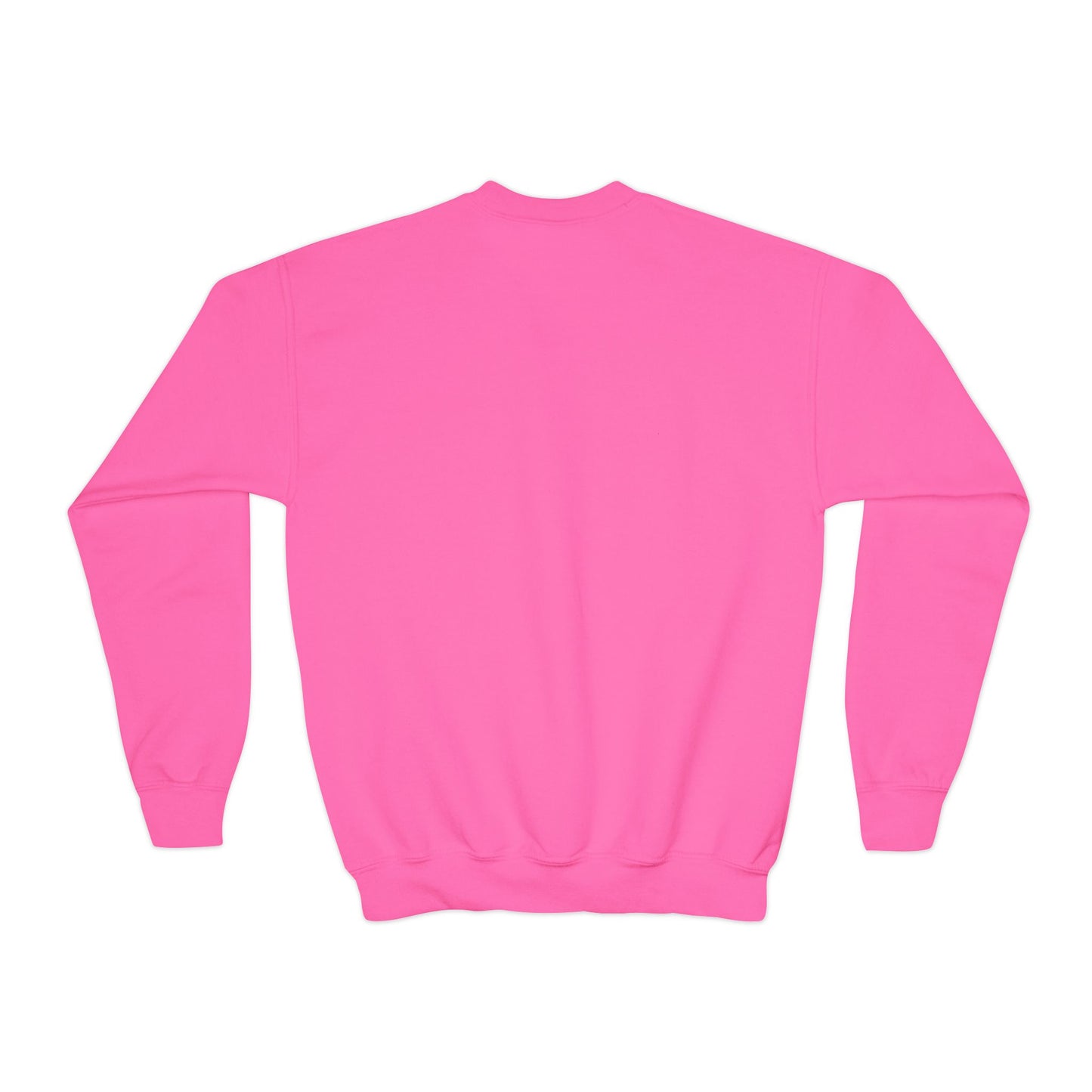 Pomeranian Wearing Sunglasses - Youth Crewneck Sweatshirt