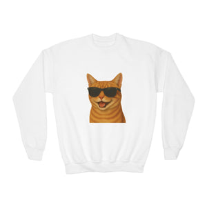 Domestic Shorthaired Orange Tabby Cat Wearing Sunglasses - Youth Sweatshirt