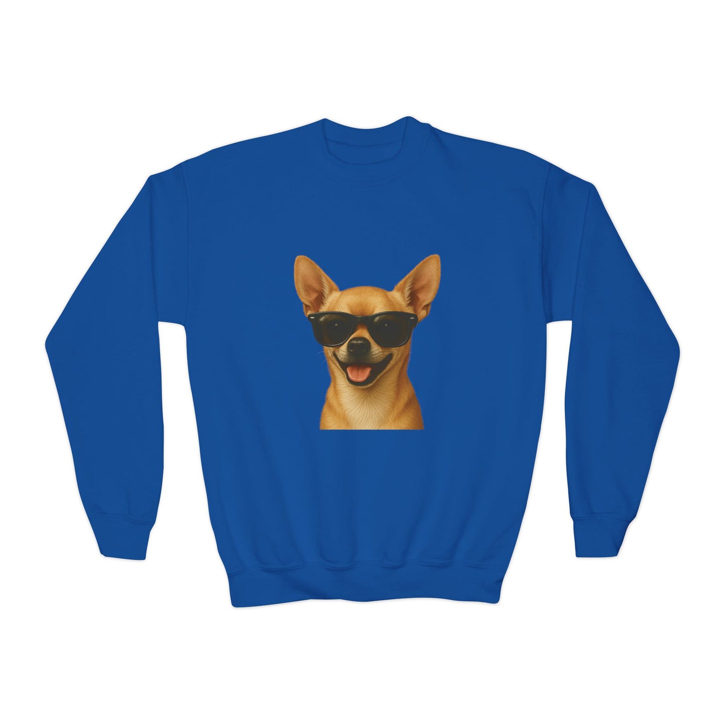 Chihuahua Wearing Sunglasses - Youth Sweatshirt