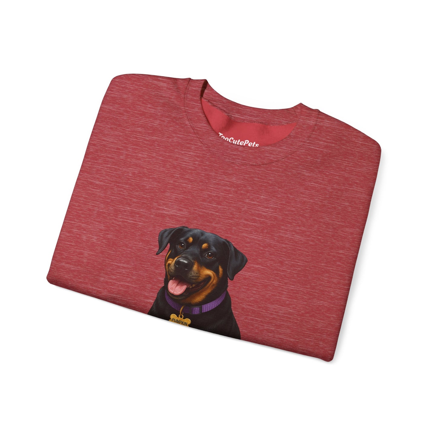 Rottweiler Lab Mix Pumpkin Sweatshirt