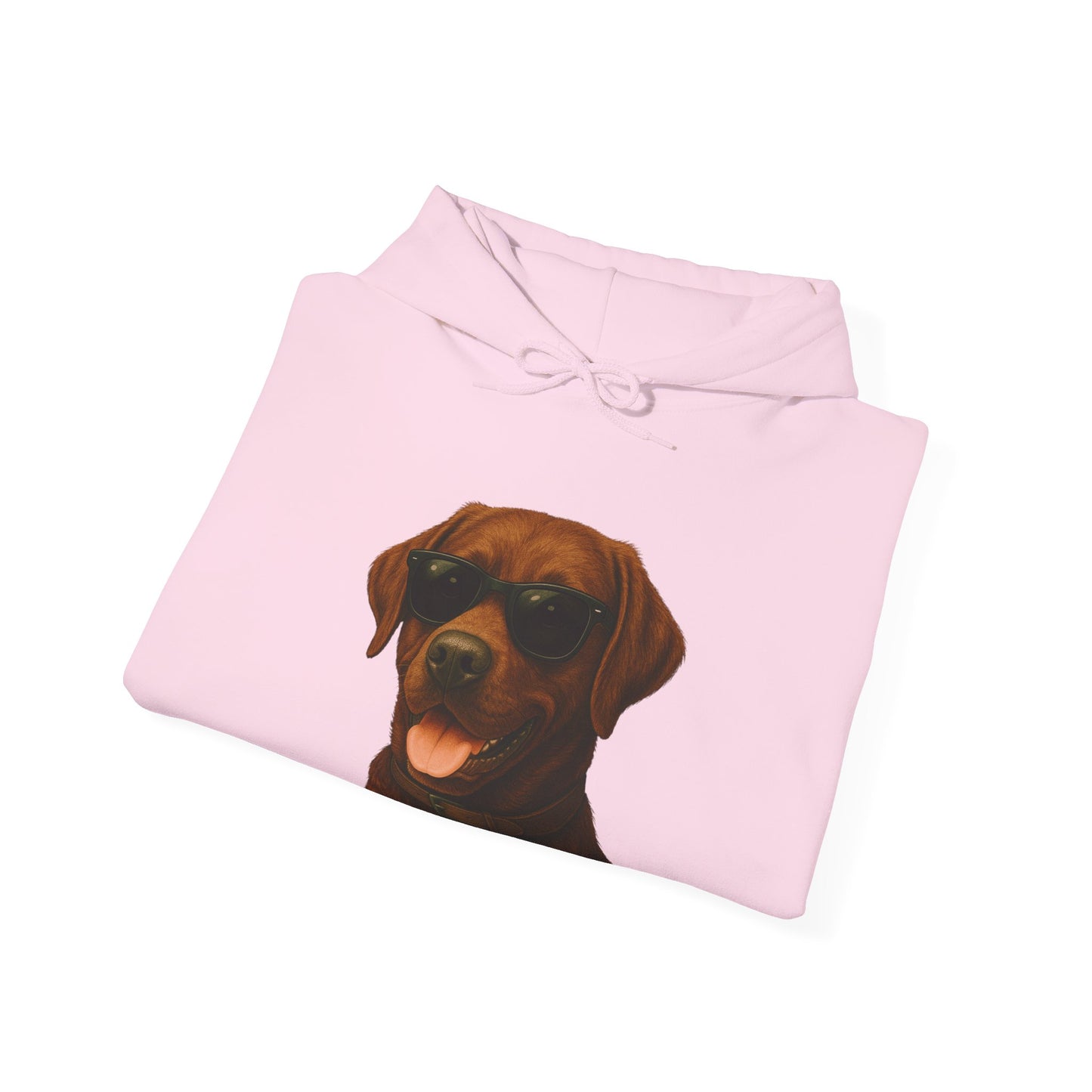 Brown Labrador Retriever Wearing Sunglasses - Adult Hoodie